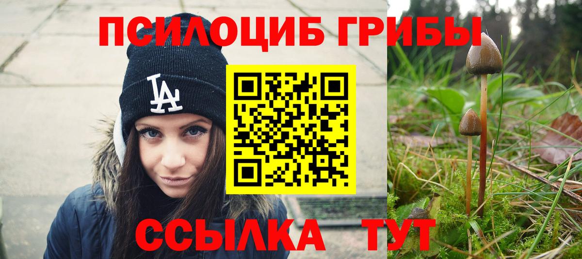 Галлюциногенные грибы прущие грибы  Вход с VPN  Псилоцибиновые грибы Cubensis  Сибай 